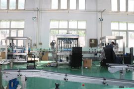 ქარხნის ხედი