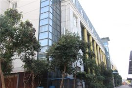 ქარხნული შოუ